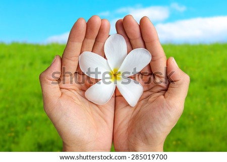Hands Holding Flower In The Air. Grass and Sky Background