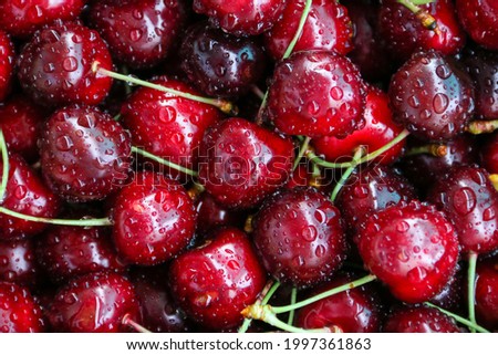 Similar – Image, Stock Photo ripe cherries are picked from the tree