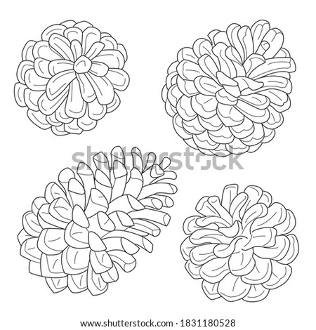 Similar – Image, Stock Photo fir cones