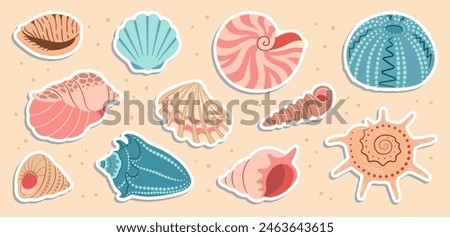 Cute sea shells sticker set. Trendy flat style seashell collection. Ocean underwater sink seashell conch aquatic mollusk. Hand drawn spiral snail, marine animals. Vector illustration