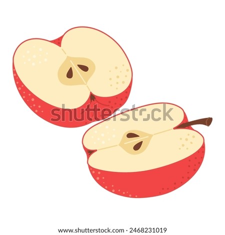 Red apple cut in half. Two piece of red fruit with seeds. Apple half icon. Isolated on white. Hand drawn Trendy flat style. Healthy vegetarian snack, cut apple for design. Vector illustration