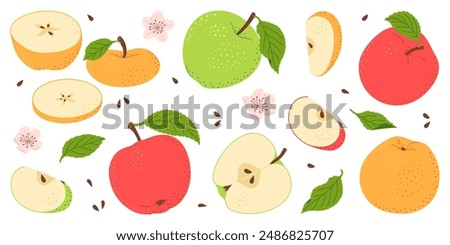 Apple fruit vector set. Whole, half, slice of red green and yellow apple fruit with green leaves and flowers collection. Hand drawn flat style isolated Vector illustration