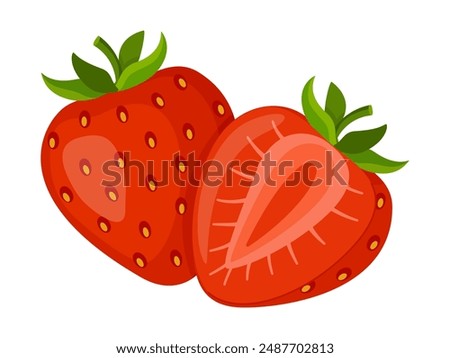 Fresh sweet strawberries. Halved and whole Red berries. Hand drawn summer strawberry trendy flat style isolated for design. Vector illustration