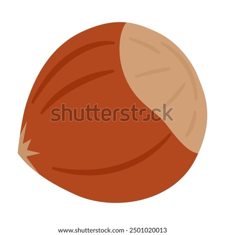 Hazelnut ripe and tasty, healthy treat, snacks. Hand drawn trendy flat style isolated Vector illustration