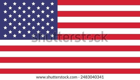 United States of America flag. Vector illustration design