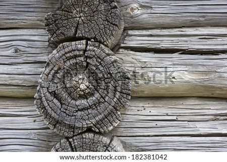 Wood texture.  Fragment of old log house. Natural textured background.