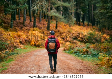 Similar – Image, Stock Photo Unrecognizable traveler in mountains in winter