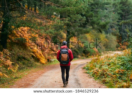 Similar – Foto Bild Unerkennbare Backpacker-Trekking im Herbstwald