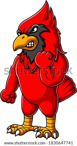 Angry cardinal bird cartoon of illustration