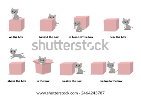 Preposition of place illustration of cat on, above, behind, in front of, in, near, beside, and between the box 