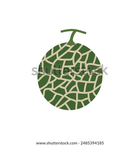 Melon vector. melon on white background. wallpaper. logo design.