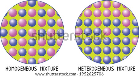 Shutterstock Puzzlepix