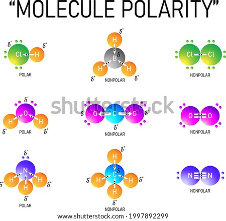 Lewis-dot structures and polarities of common molecules