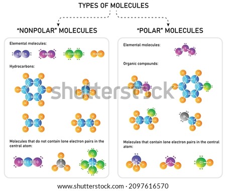 polar and nonpolar molecules with  common examples