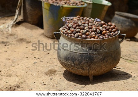 Shea nuts to prepare butter in Bamako. The English name \