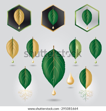 Leaf with precious sap logo, icon set