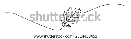 Pin oak tree leaf one line art. Continuous line drawing of pin oak tree leaf. Hand drawn fall season leaf pin oak.