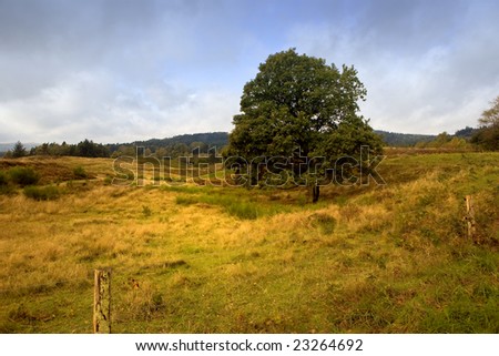 Old Danish landscape in Jutland, very much like it was a 100\'s of years ago