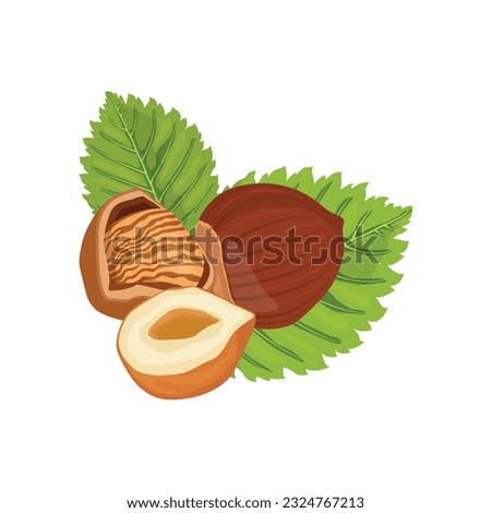 Vector illustration of whole and half brown hazelnut with green leaves. Hazelnut icon, logo, clip art and elements for web and business design.