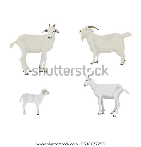 Vector illustration collection of white goat in cartoon flat style. Group goats in the grass field, breeds of domestic goat cartoon, dairy farming, kid goat vector illustration, poster, infographic