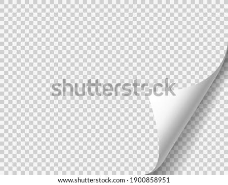 Curled page with shadow on blank sheet of paper. Page curl realistic paper mock up. Design element for advertising and promotional. Vector illustration.