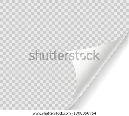 Curled page with shadow on blank sheet of paper. Page curl realistic paper mock up. Design element for advertising and promotional. Vector illustration.