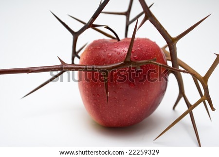 forbidden fruit is sweetest essay This list of 100 sweet similes sweet as that which is forbidden sweet as the sweetest song of bird on summer's eve. forbidden fruit is sweetest essay This list of 100 sweet similes sweet as that which is forbidden sweet as the sweetest song of bird on summer's eve.
