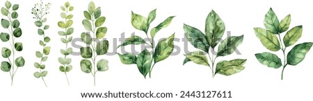 Set collection vector illustration watercolor green leaves on transparent background.Vector EPS 10