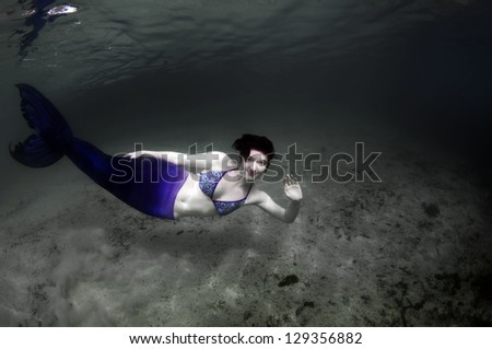 A mermaid swimming in the Crystal River, Florida