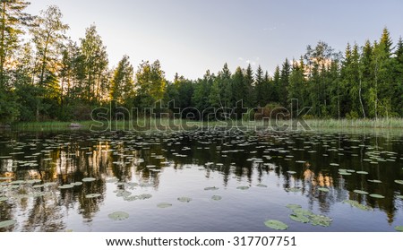 Landscape lake with water lilies at sunset, reflection. Haukivesi lake. Finland.