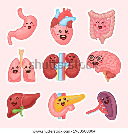 Human internal organs patches design. Funny human body organs stickers. Kidneys, liver, pancreas, intestines, spleen, Heart, brain and lungs. Anatomy funny print. Children education patch set.