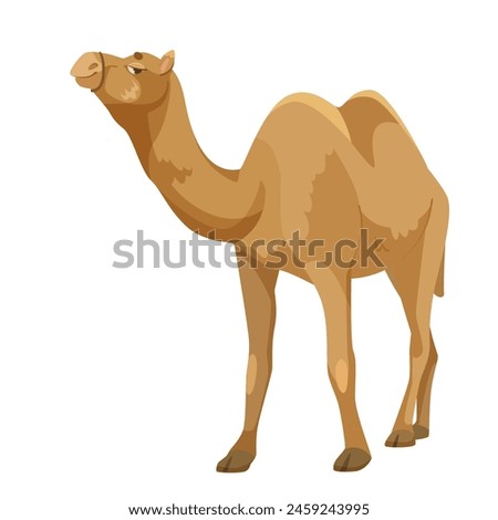 A brown camel standing, in vector illustration style, on a plain white background, depicting a desert animal. Vector illustration