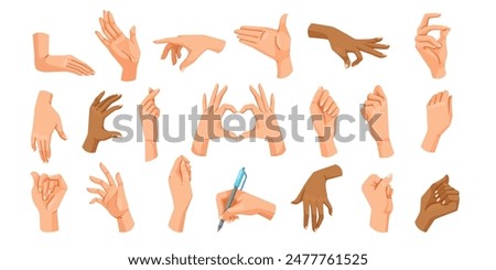 Multiple hand gestures in various positions, vector illustration, on a white background. Concept of communication and expressions. Vector illustration