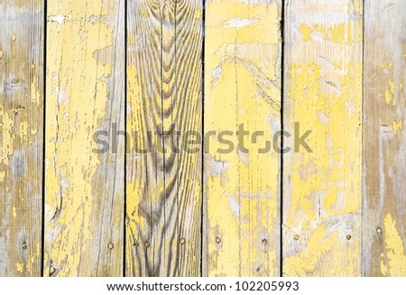 Vintage background from a wooden shabby plank