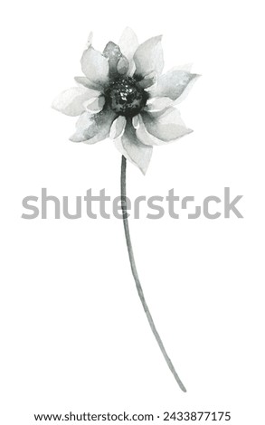 Similar – Image, Stock Photo Single dried wild flower on grey background