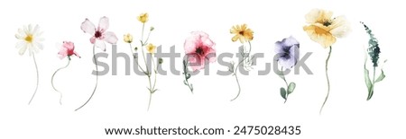 Image, Stock Photo pink wild flowers on meadow