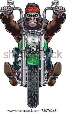 monkey riding motorcycle

