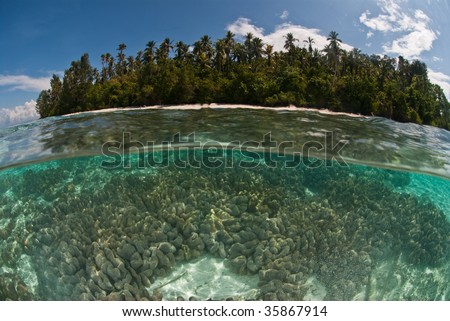 Over under shot of various corals and island, Raja Ampat, Indonesia