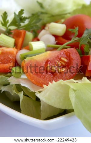close up bowl with  fresh seasoning salad on white background