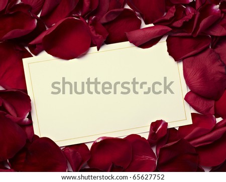 close up of a greeting card with rose petals