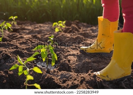 Similar – Image, Stock Photo Child with rubber boots swinging in garden