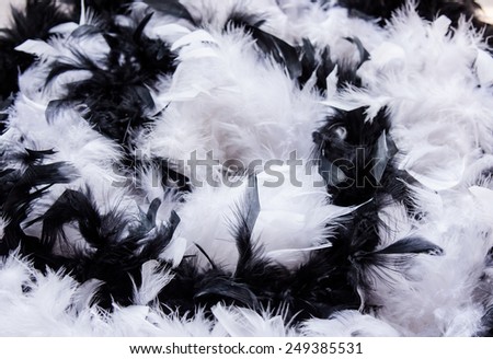 Black and white background whit feather boa.