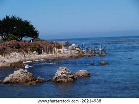 California Coastline Park With Jogger