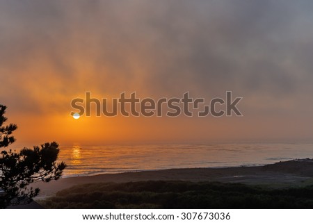 Burning red sun, dense fog, painted sky, silhouette of pine tree & reflective sea at sunset, on (Big Sur Coast) Moonstone Beach, with people in the distance. California Central Coast, near Cambria CA.