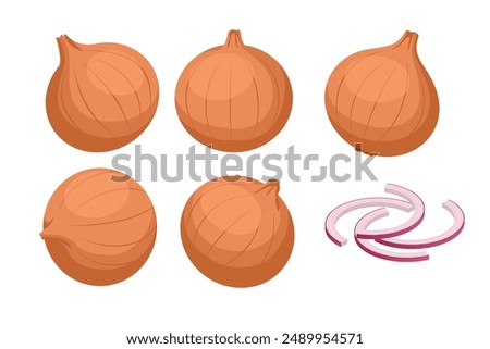 Isometric red whole and sliced onion, isolated on a white background. Onion chopped pieces for cooking