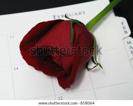 A red rose on a February planner page to mark Valentine\'s Day