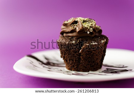 Chocolate muffin on white plate and pink background with pistachio topping