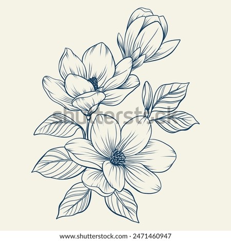 Magnolia flowers drawing with line-art