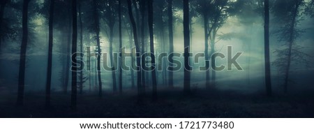 Similar – Image, Stock Photo silent night Night