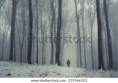 fantasy forest in winter with man